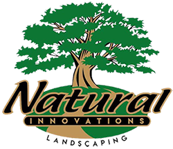 Natural Innovations Local Landscape Design and Contractor for Brick paver Patio