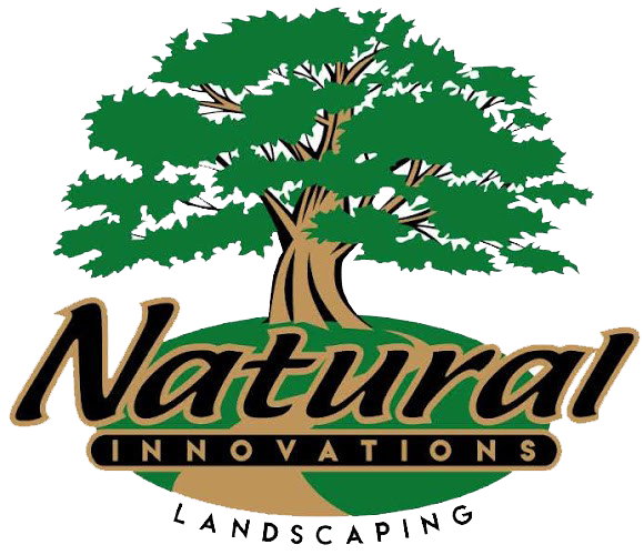 Natural Innovations Local Landscape Design and Contractor for Brick paver Patio